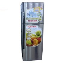 Tủ lạnh Toshiba GR-K21VPB (DS)