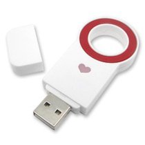 USB shenzhen nhựa trắng 2GB