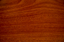 Sàn gỗ Newsky F006