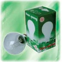 Bóng đèn nung sáng Điện Quang A60-T 25W