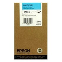 Epson T603500