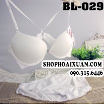 BL029-Bộ đồ lót nữ hàng Quảng Châu