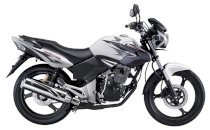 Honda Tiger 2012 ( Màu trắng )