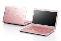 Sony Vaio SVE-14A25CA/PI (Intel Core i5-3210M 2.5GHz, 4GB RAM, 750GB HDD, VGA ATI Radeon HD 7670M / Intel HD Graphics 4000, 14 inch, Windows 8 64 bit)