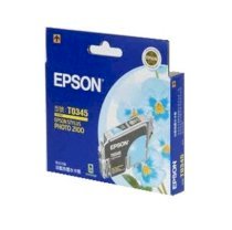 Epson C13T673100