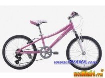 Xe đạp địa hình Oyama JM24 Girl