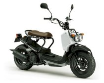 Honda Zoomer 50cc ( Màu trắng )