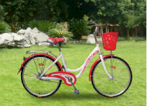  Xe đạp mini thời trang L24005 2012
