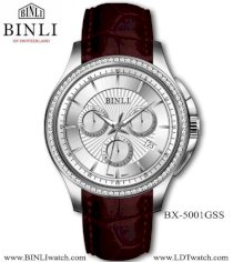 Đồng hồ BINLI-SWISS Sport BX5001GSSS