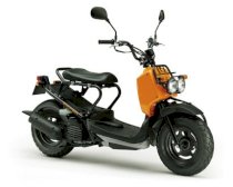 Honda Zoomer 50cc ( Màu cam )