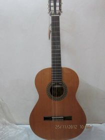 Guitar Paco Castillo GY-2
