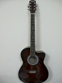 Đàn Guitar Acoustic Arina 4010/CS