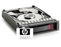 HP 300GB 10000 RPM Dual port 6G SAS (507284-001)