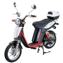 Xe đạp điện Chinsu TDR059Z 250w