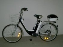 Xe đạp điện Chinsu TDF108Z 250w