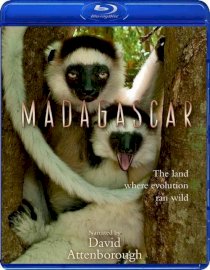 BBC Madagascar (2011)