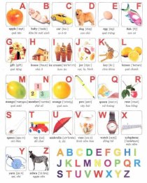 Học tiếng anh bằng hình - Bảng chữ cái Alphabet