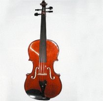 Đàn Violin Harper AGW 208-4/4  