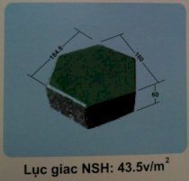 Gạch Lục giác NSH 43.5 v/m2