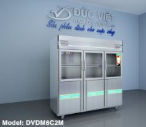 Tủ đông mát 6 cánh 2 máy 0 quạt DVDM6C2M