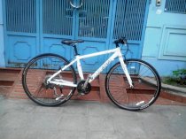 xe đạp thể thao Luis Garneau TR Lite E mầu trắng