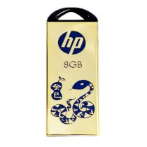 HP V229G 8GB