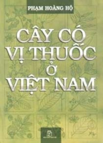 Cây có vị thuốc ở Việt Nam
