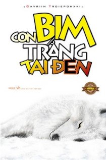 Con Bim trắng tai đen 