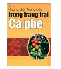 Hướng dẫn trồng cây trong trang trại cà phê