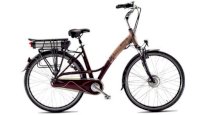 Xe đạp điện Keeway City Titanium 2013