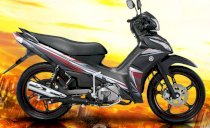 Yamaha Jupiter Z1 115cc 2013 (Đen)