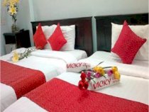 Vicky’s Boutique Guest House 