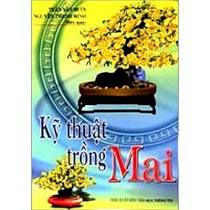 Kỹ thuật trồng mai