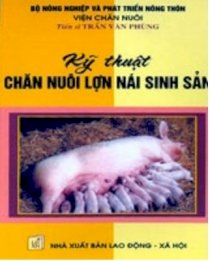 Kỹ thuật chăn nuôi lợn nái sinh sản
