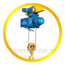 Palăng cầu trục dầm đơn 5 tấn - 12m KGCRANES KN5-H12-MH