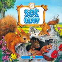 Theo dấu chân các loài vật - Sóc con