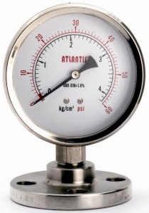 Pressure Gauge Aslantis DS300 (Đồng hồ áp suất)