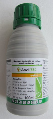 Anvil 5SC