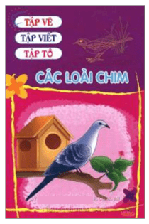 Tập vẽ, tập viết, tập tô các loài chim