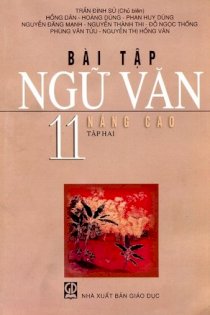  Bài tập ngữ văn nâng cao 11 - Tập 2