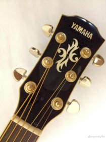 Guitar Acoustic Yamaha APX8