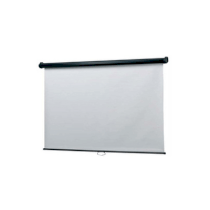 Màn chiếu treo tường Dalite 70 x 70inch (1.78m x 1.78m)