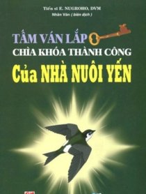 Tấm ván lắp, chìa khóa thành công của nhà nuôi yến