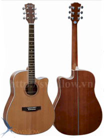 Oriental cherry Acoustic guitar W-500S