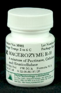 MACEROZYME R-10