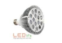 Bóng đèn Led LEDlife LED-BG-15W