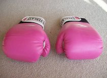 Everlast Mixed Martial Arts Advanced Sparring Gloves12oz