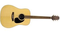 Guitar Takamine D20