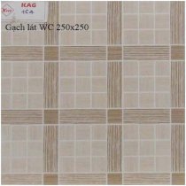 Gạch lát WC 250X250 KAG164