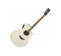 Guitar Acoustic APX500II vintage white